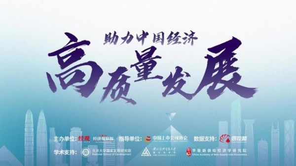 亮点经济：揭开神秘面纱，探寻成功秘籍！