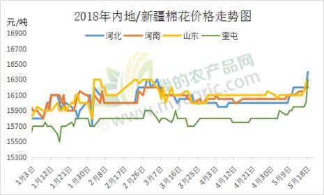 籽棉价格,北疆地区价格下跌